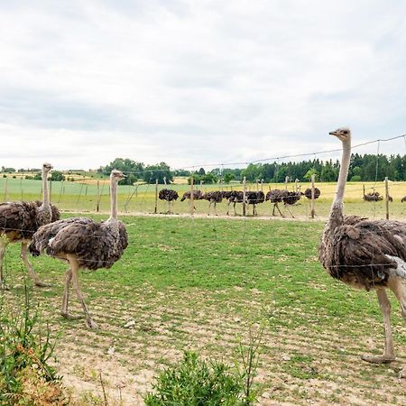 Beutenmuehle Straussenfarm Dach Owingen Eksteriør billede